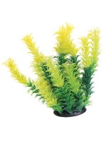 Underwater Treasures UT PLANT DIANDRA 6"