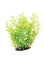 Underwater Treasures CARDAMINE WHITE TIPPED 10"