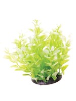 Underwater Treasures UT CARDAMINE WHITE TIPPED 6"