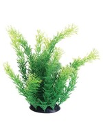 Underwater Treasures UT PLANT CABOMBA 10"