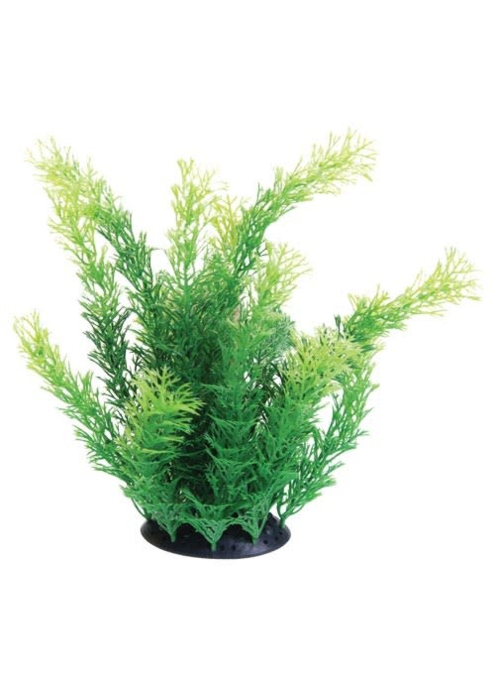 Underwater Treasures UT PLANT CABOMBA 10"