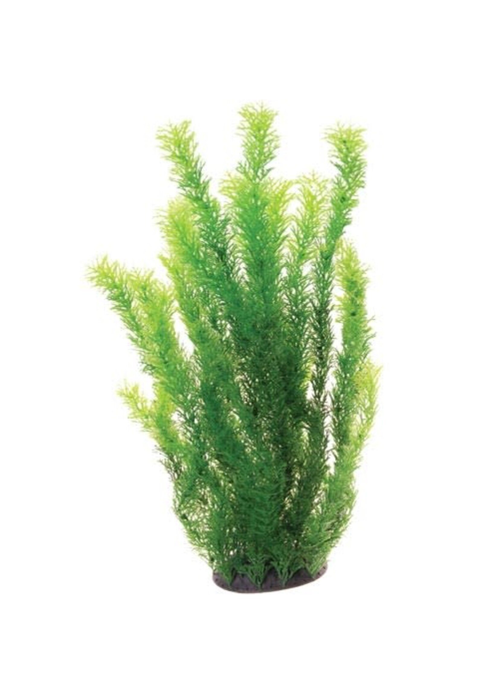 Underwater Treasures PLANT CABOMBA 20"