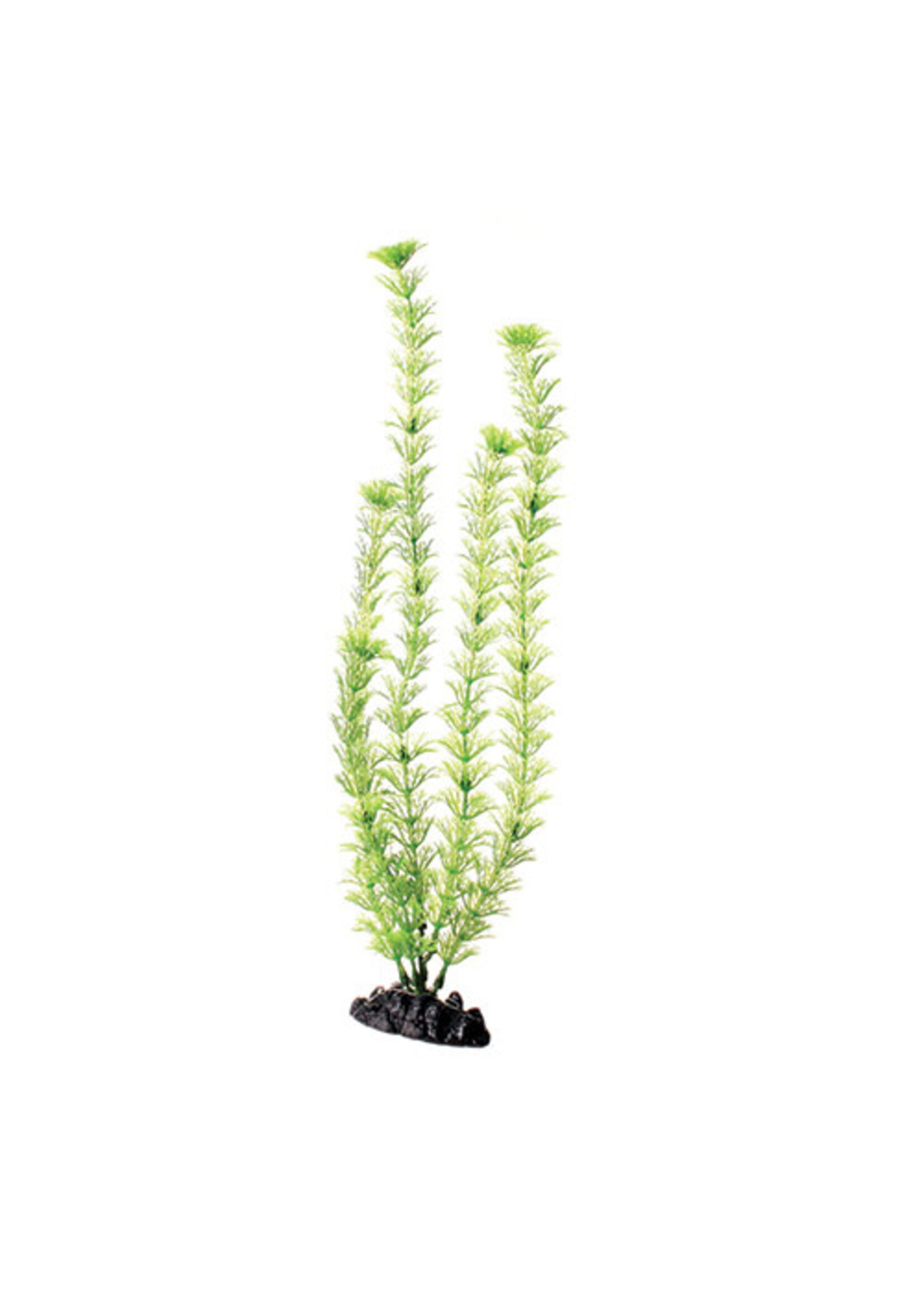 Underwater Treasures PLANT GREEN CABOMBA 16"