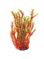 Underwater Treasures UT LUDWIGIA RED 20"