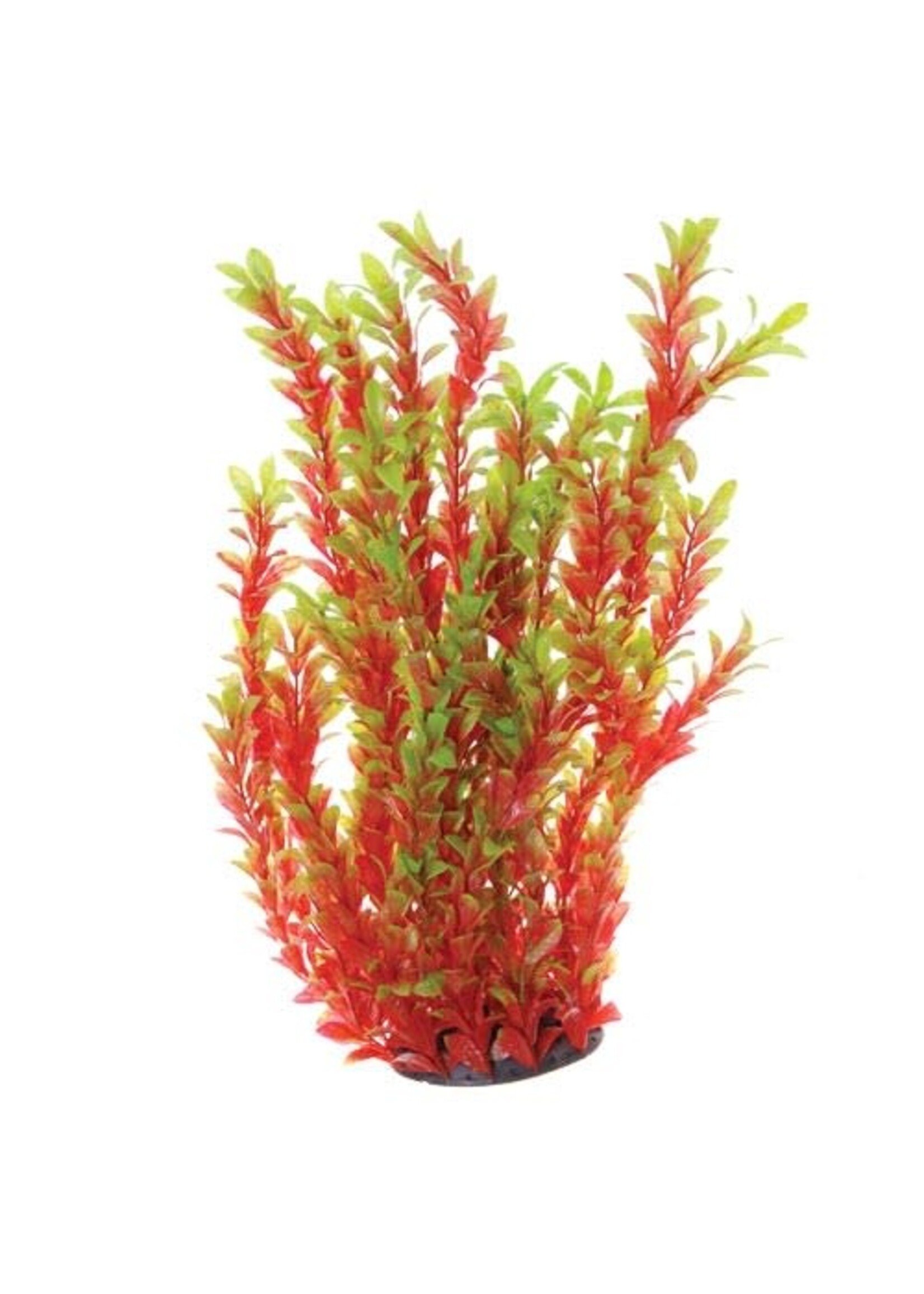 Underwater Treasures UT LUDWIGIA RED 20"