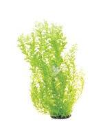 Underwater Treasures CARDAMINE WHITE TIPPED 24"