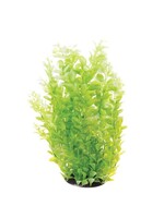 Underwater Treasures CARDAMINE WHITE TIPPED 16"