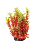 Underwater Treasures LUDWIGIA RED 12"