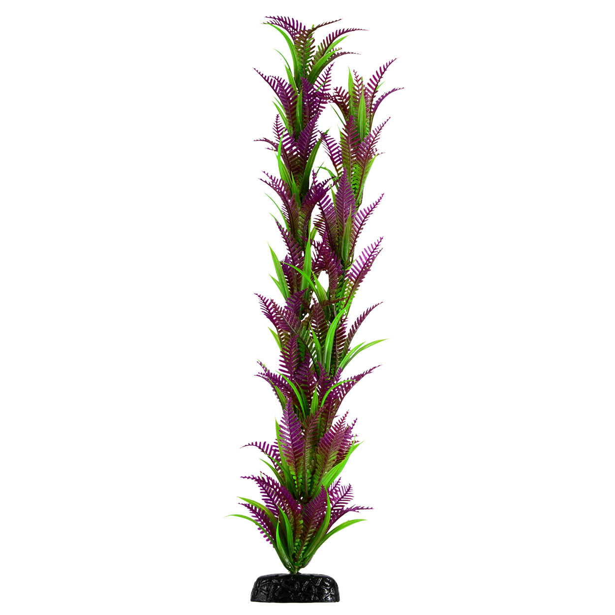 UT PP LONELY HEART FERN 24IN