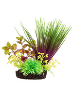 Underwater Treasures HAIRGRASS MOUND