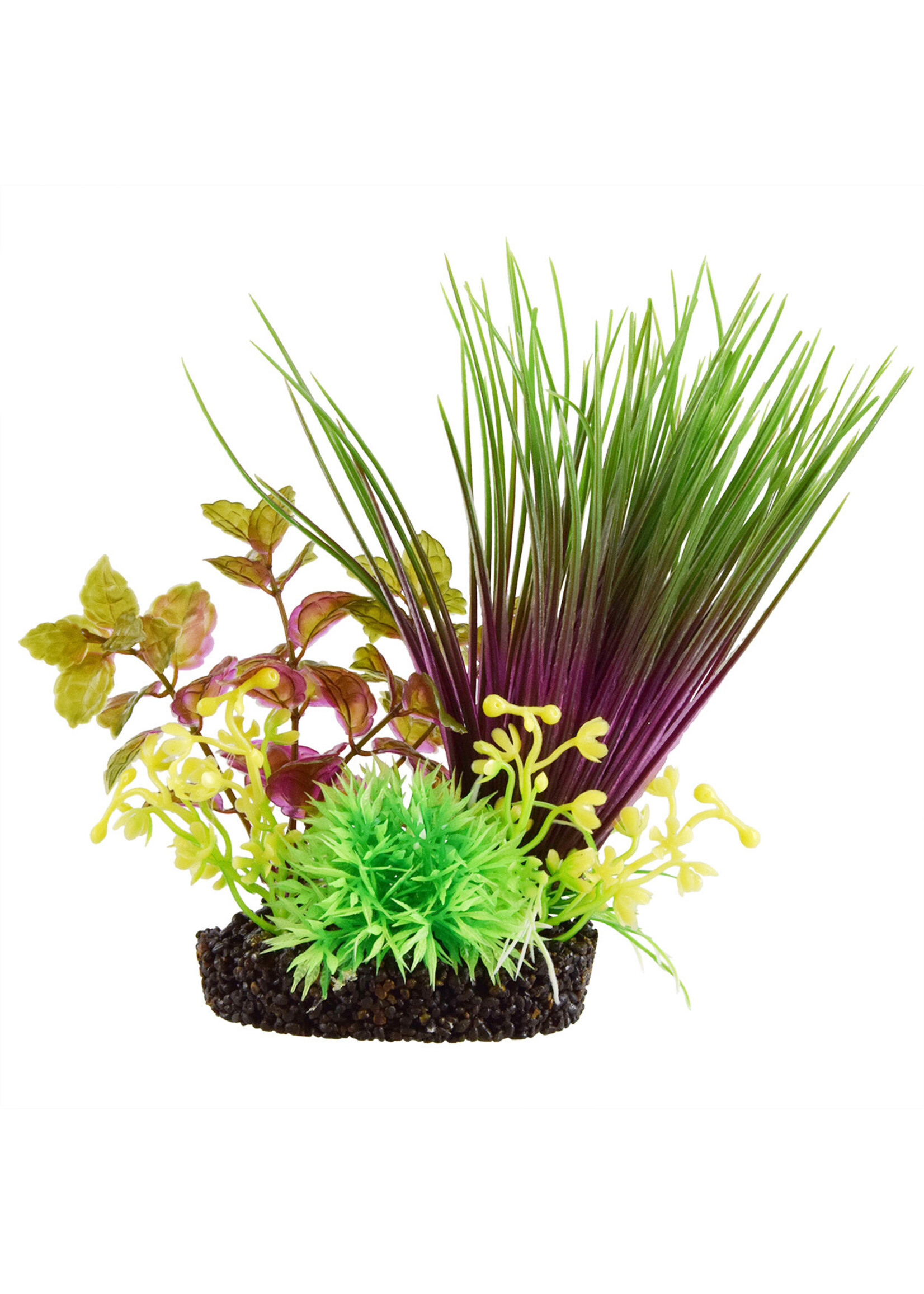 Underwater Treasures HAIRGRASS MOUND