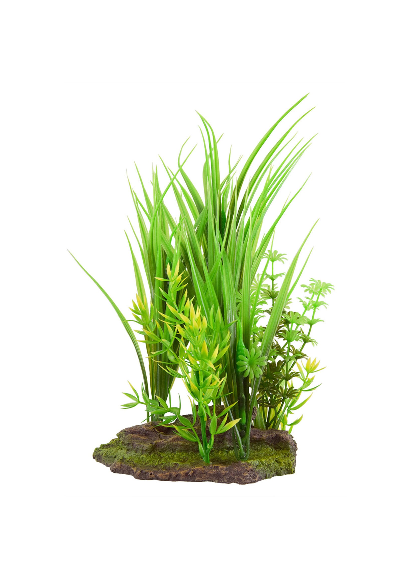 Underwater Treasures HAIRGRASS TRIO