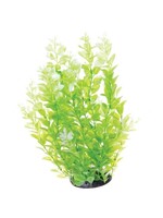 Underwater Treasures UT CARDAMINE WHITE TIPPED 12"
