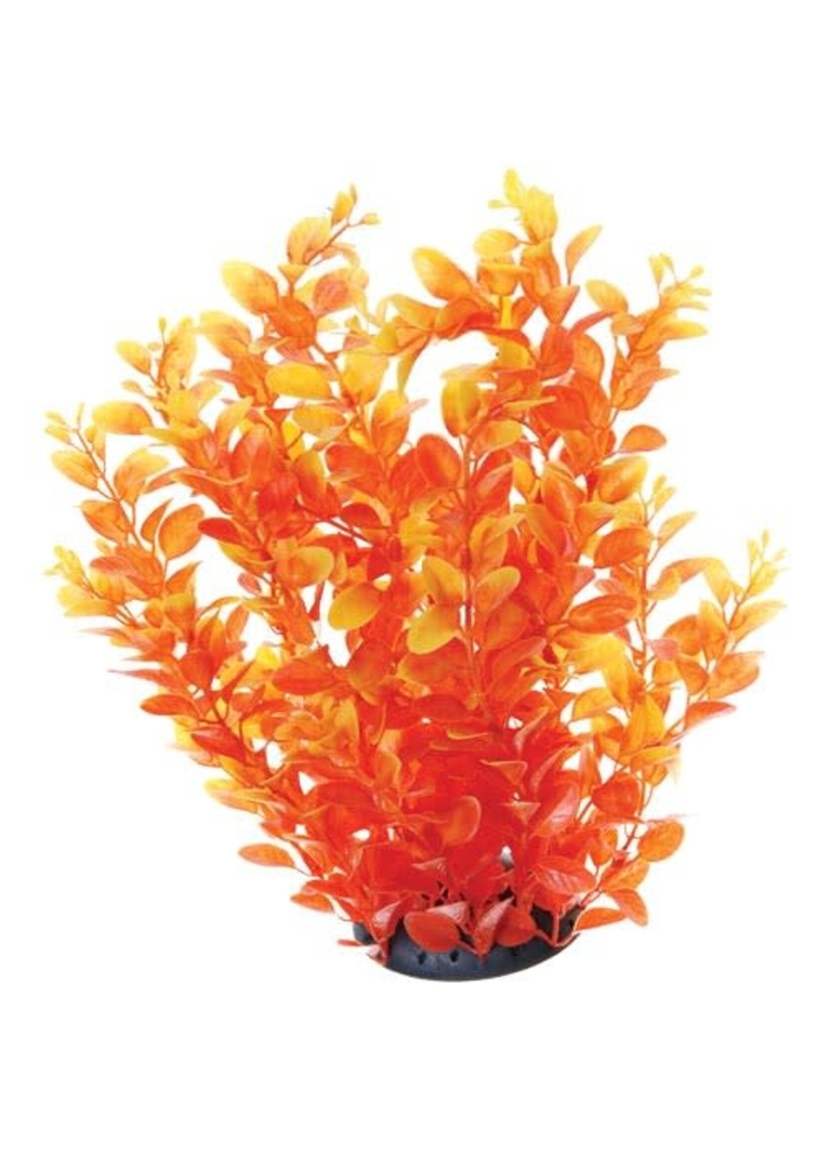 Underwater Treasures PLANT ORANGE CARDAMINE 12"