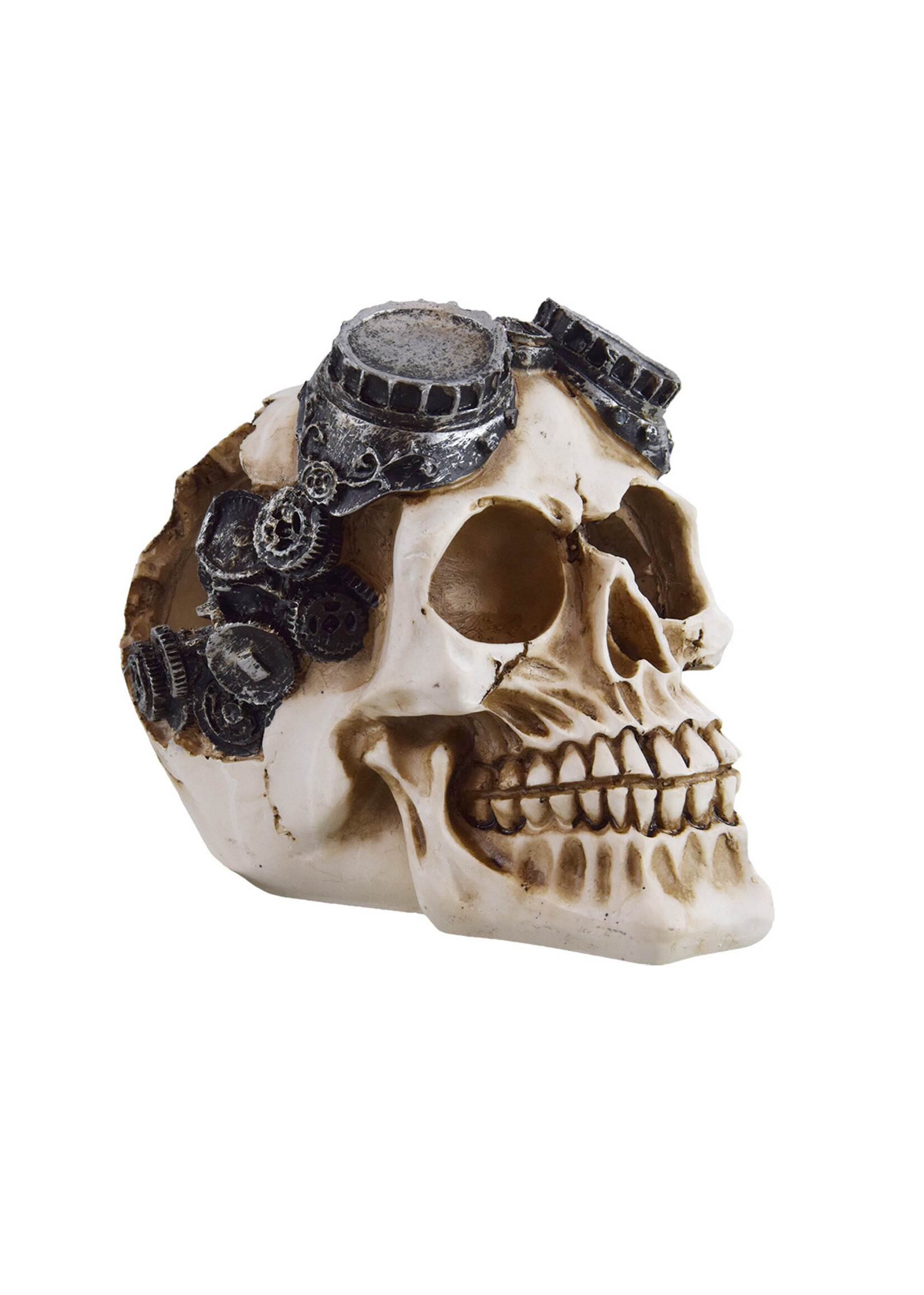 Underwater Treasures MECHANICAL SKULL