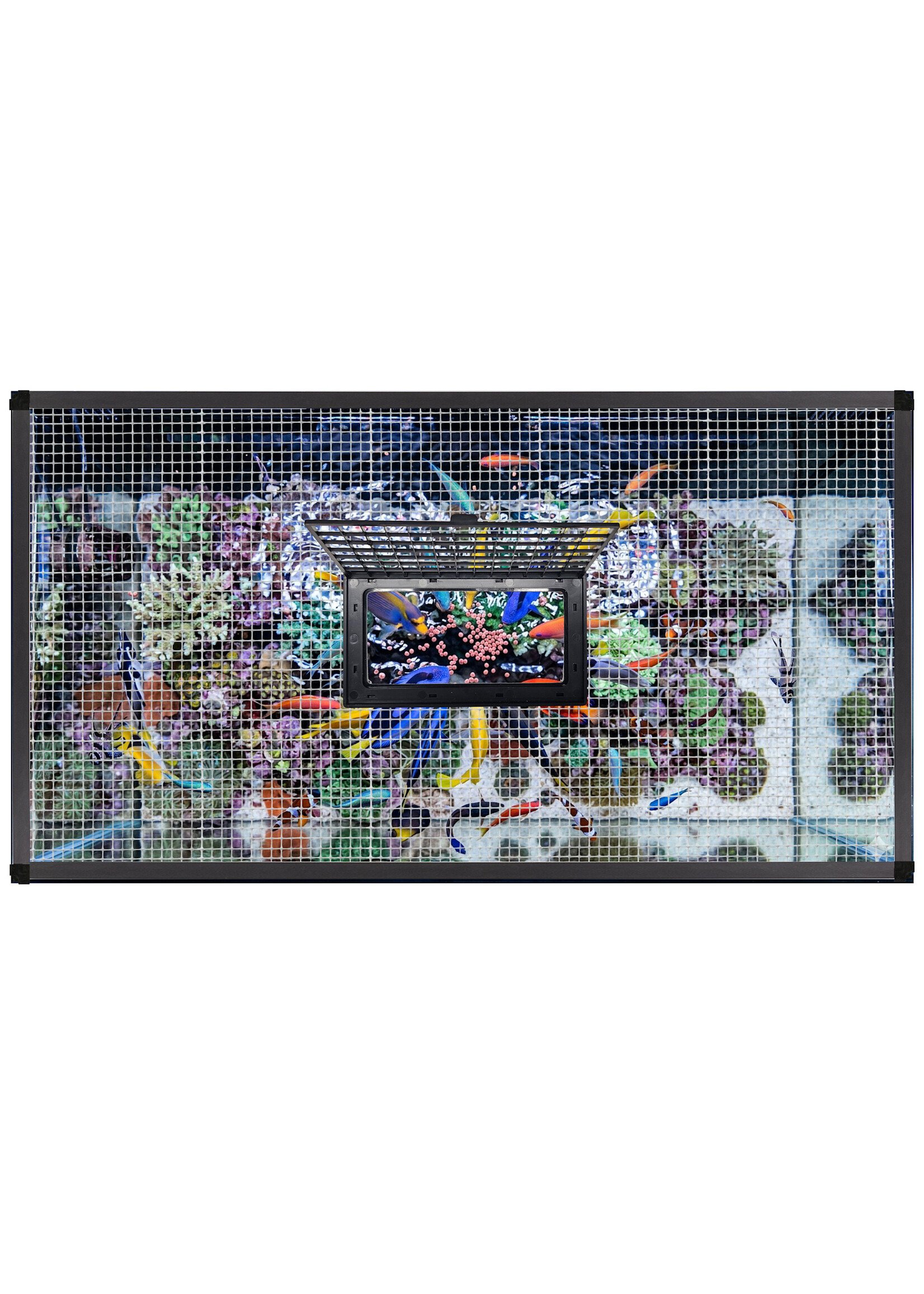 Innovative Marine NUVO FLIP FEED HINGED FEEDING LID