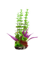 Underwater Treasures ROTALA PURPLE FERN