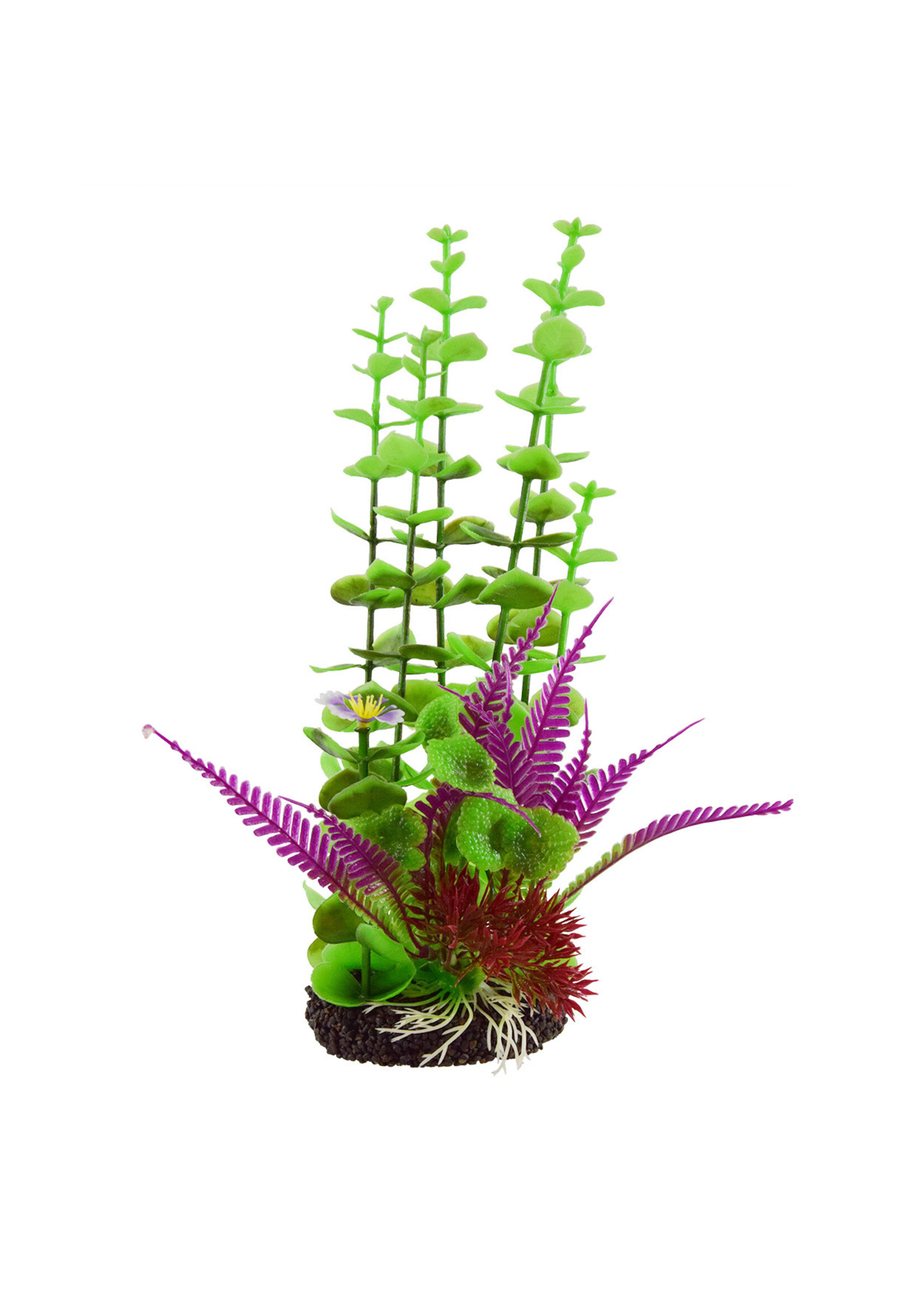 Underwater Treasures ROTALA PURPLE FERN