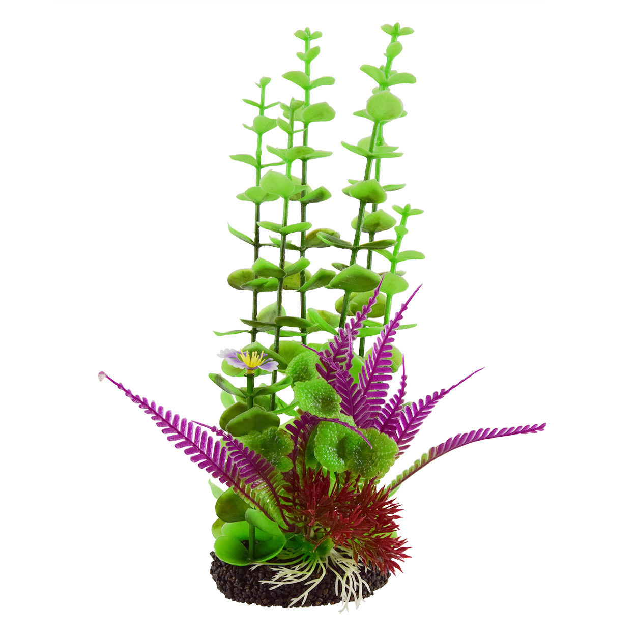 ROTALA PURPLE FERN