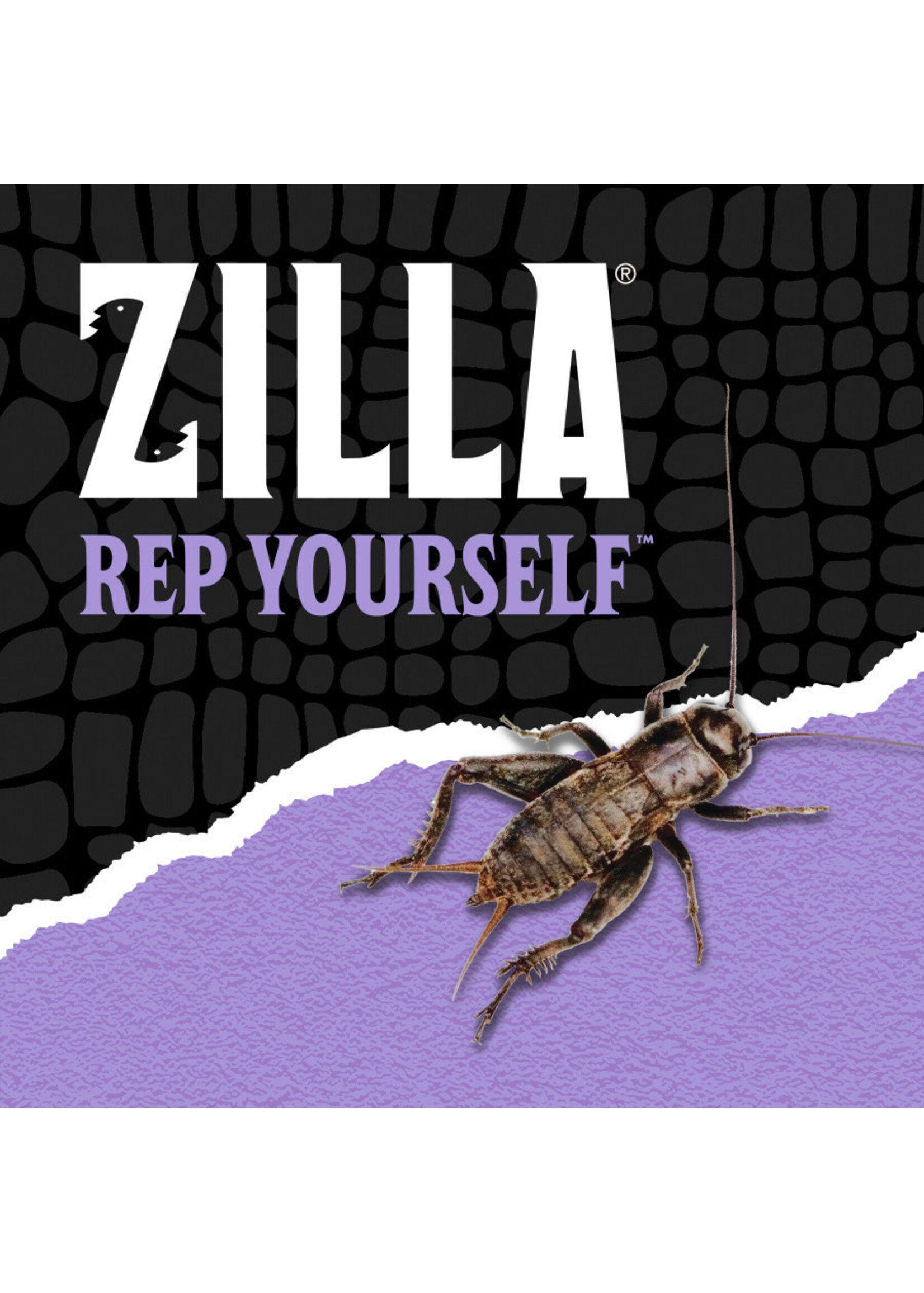 Zilla WATER PILLOW CRICKET 6 PK