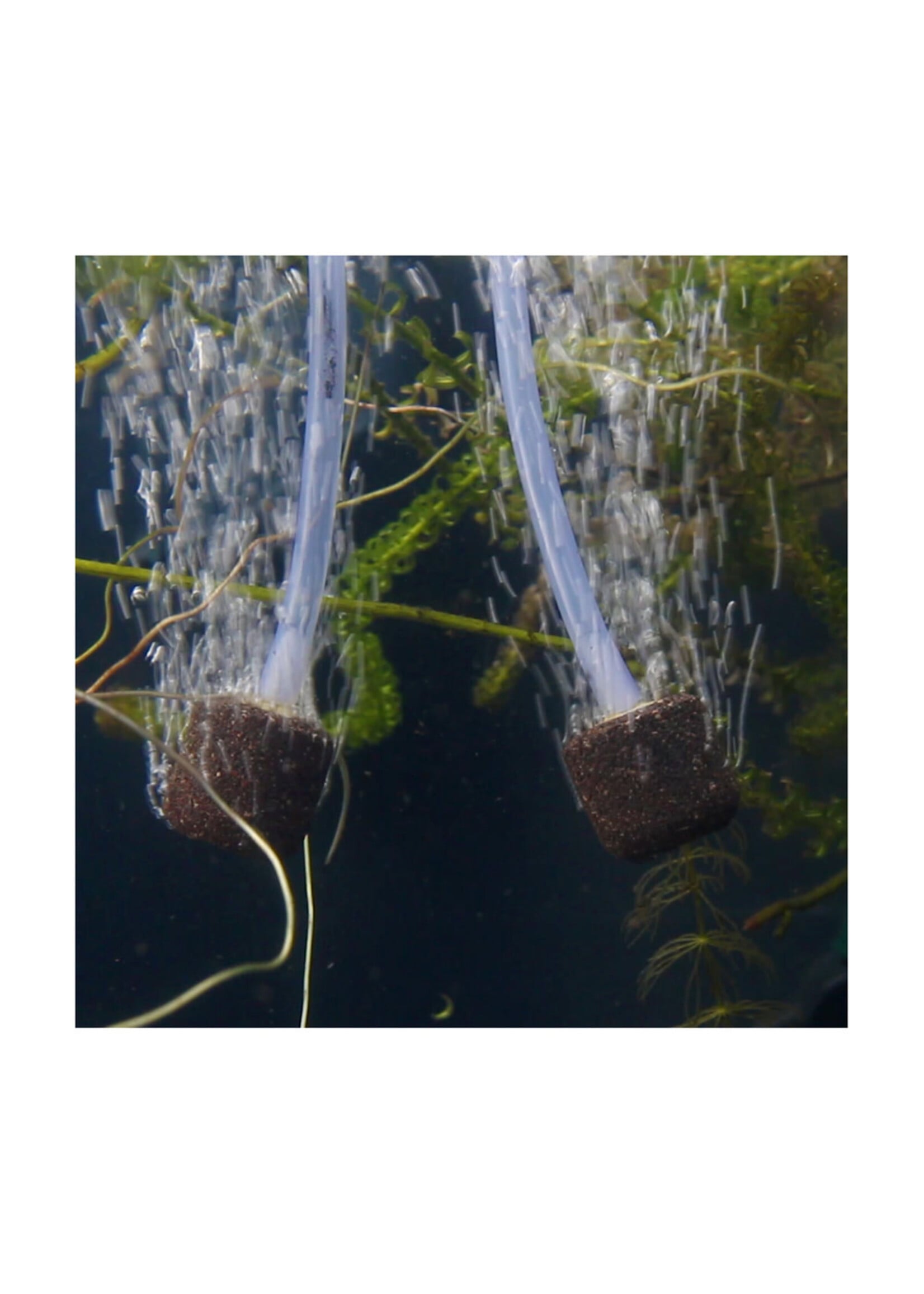 WEATHERPROOF POND AIR PUMP