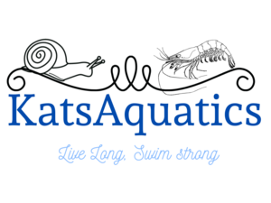 KatsAquatics