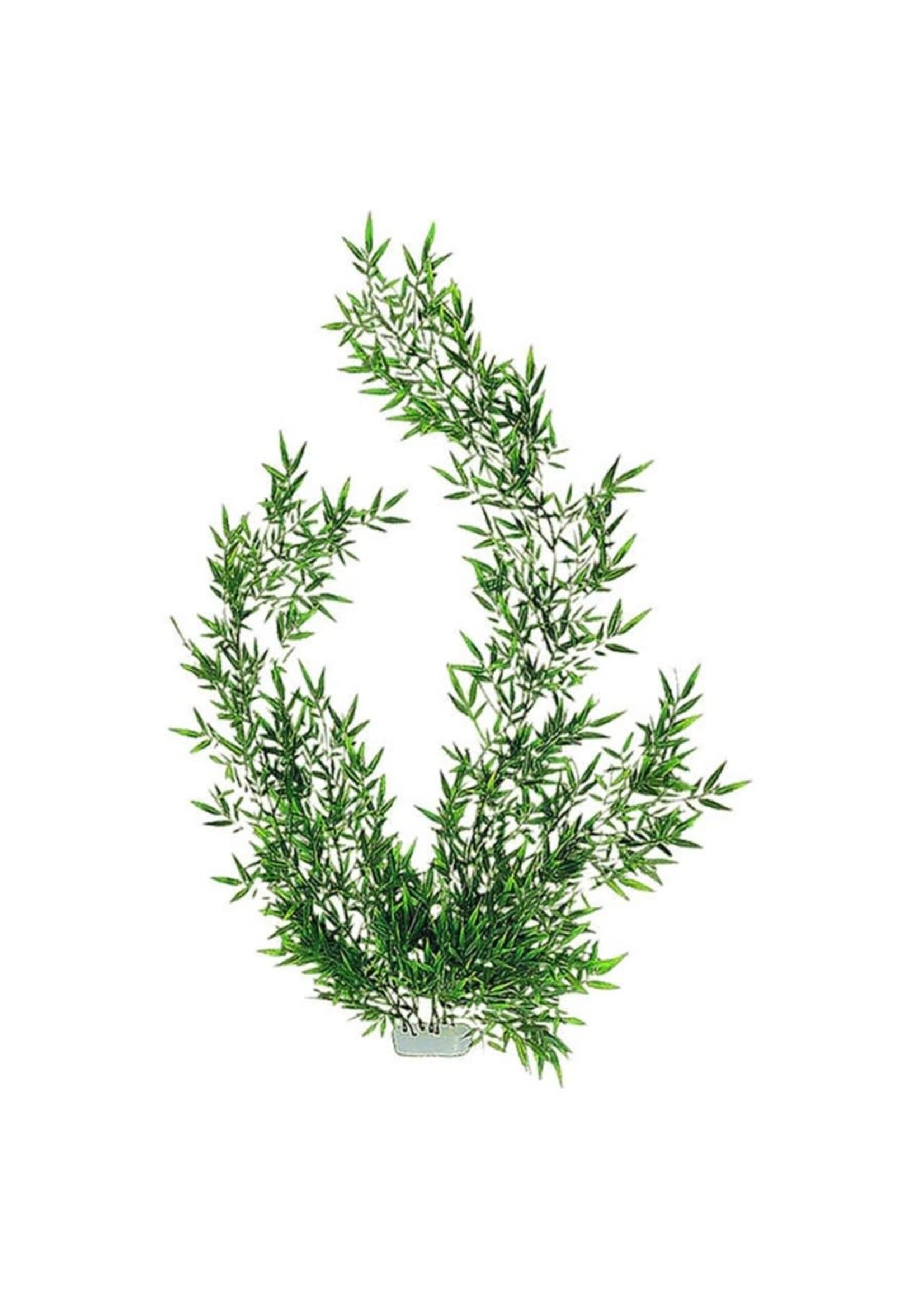 Marineland BAMBOO 3 FOOT LONG