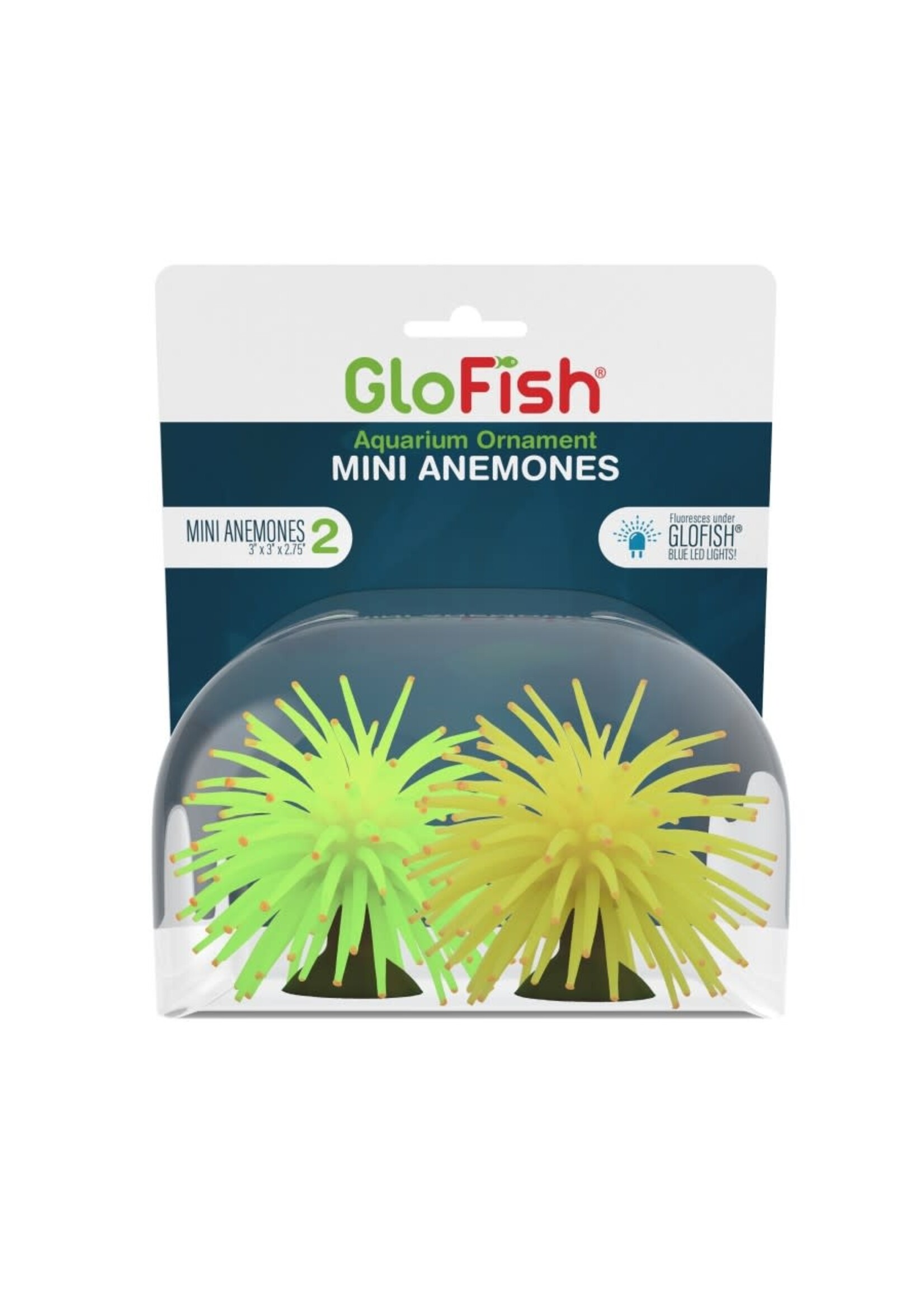 Tetra GLOFISH MINI ANEMONE