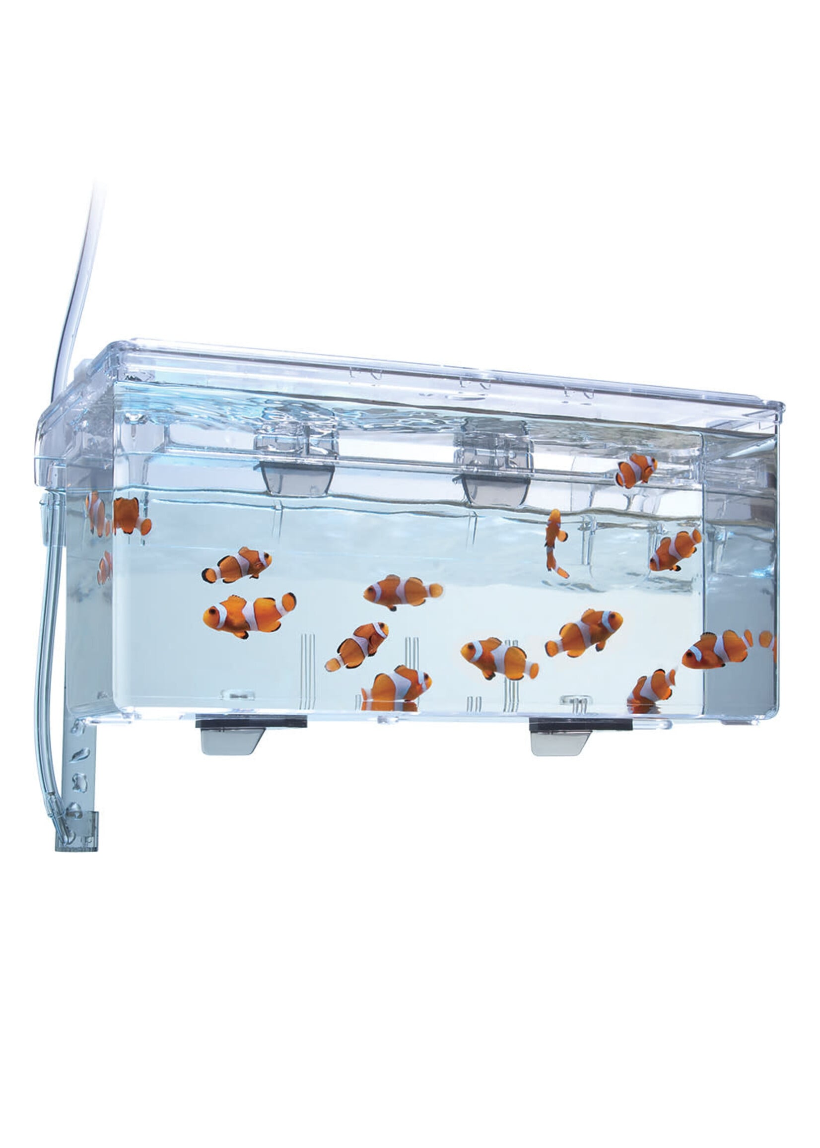 Fluval HANG ON BREEDING BOX LG