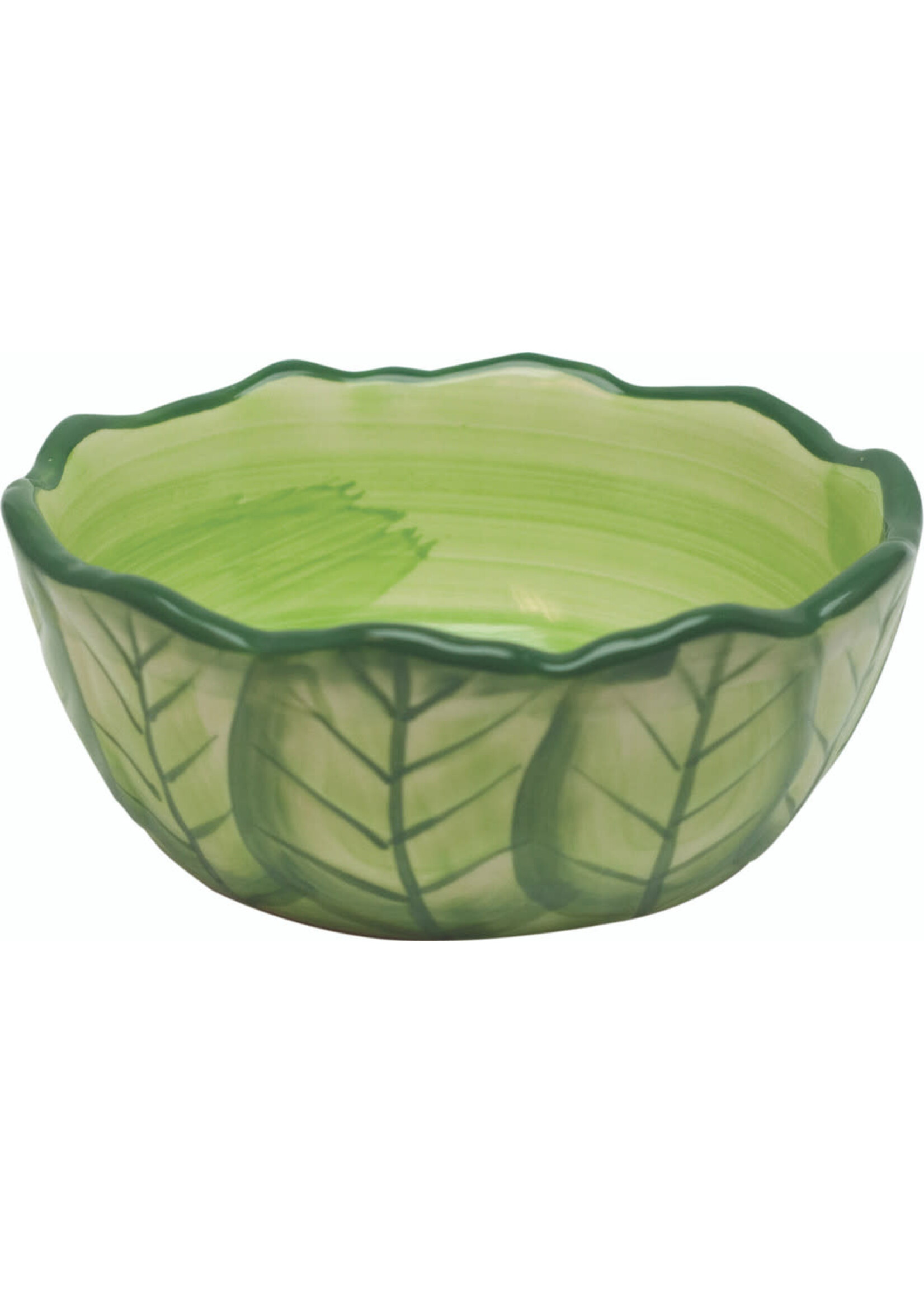 VEGE-T BOWL FOOD DISH CABBAGE