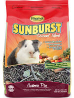 HIGGINS SUNBURST GOURMET BLEND GUINEA PIG 6 LB