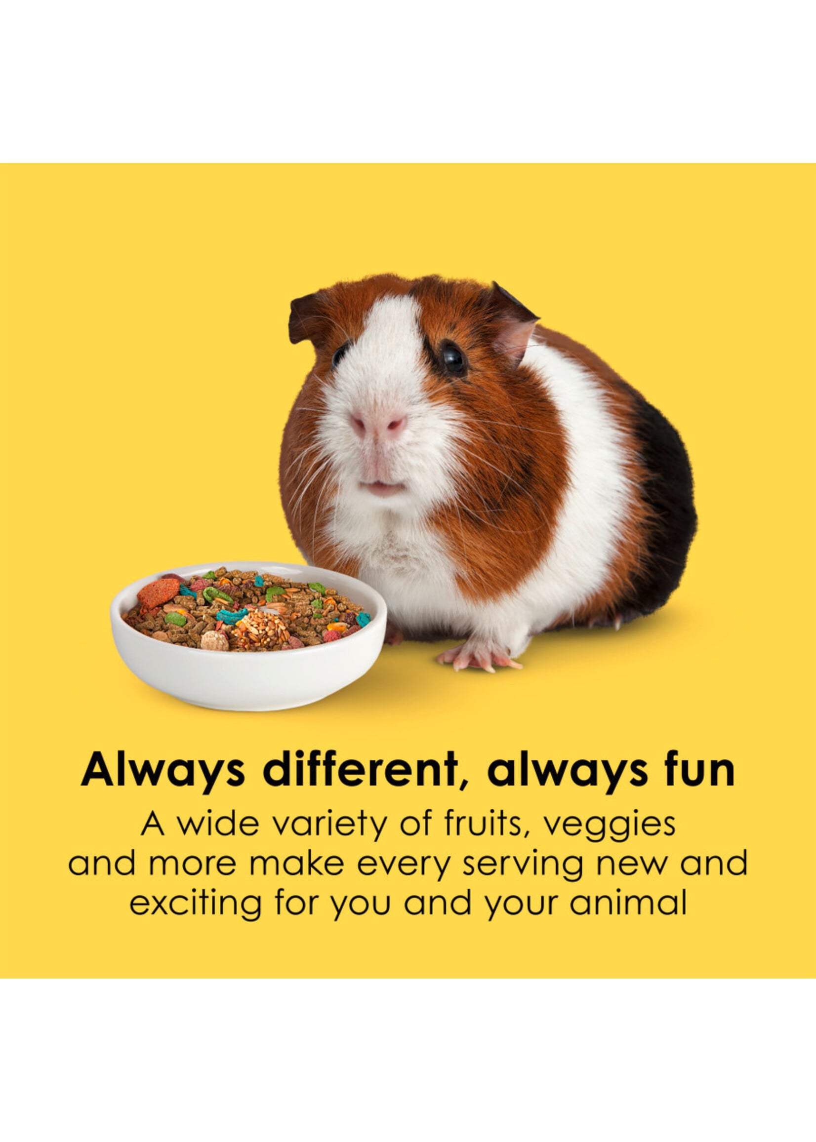 FIESTA GUINEA PIG 4.5 LB