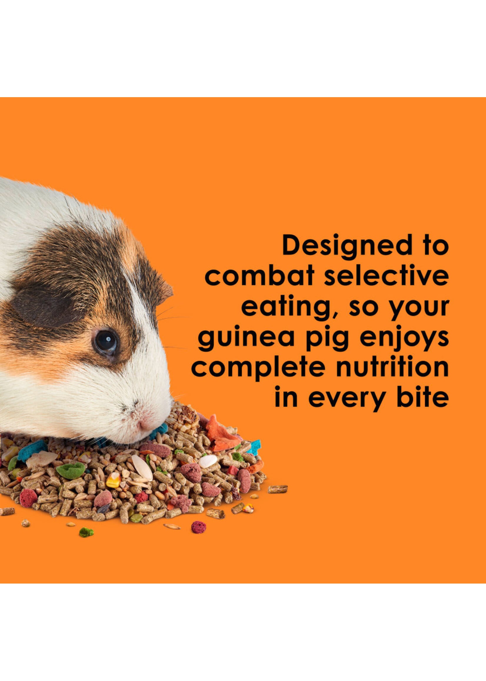 FIESTA GUINEA PIG 4.5 LB