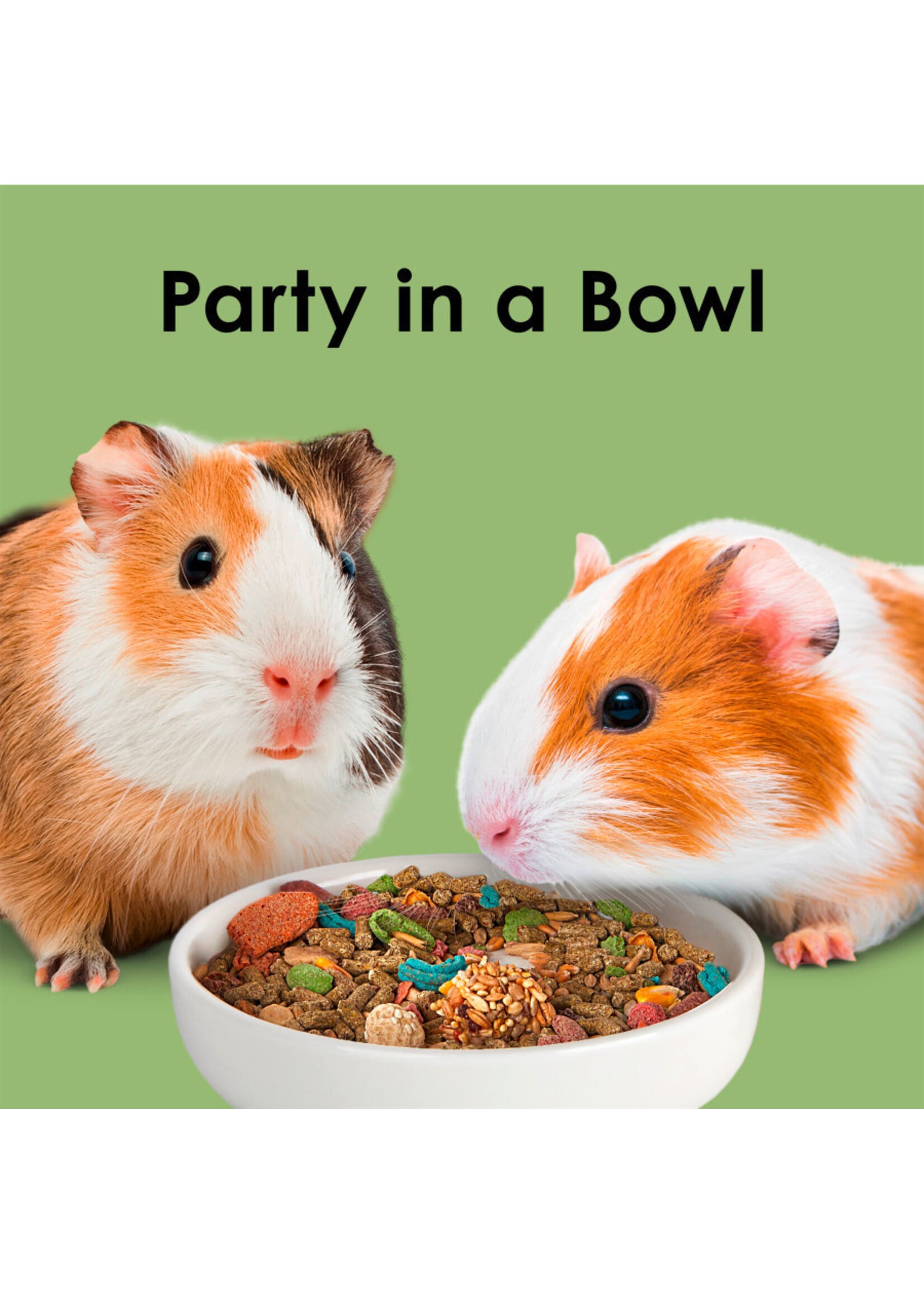 FIESTA GUINEA PIG 4.5 LB