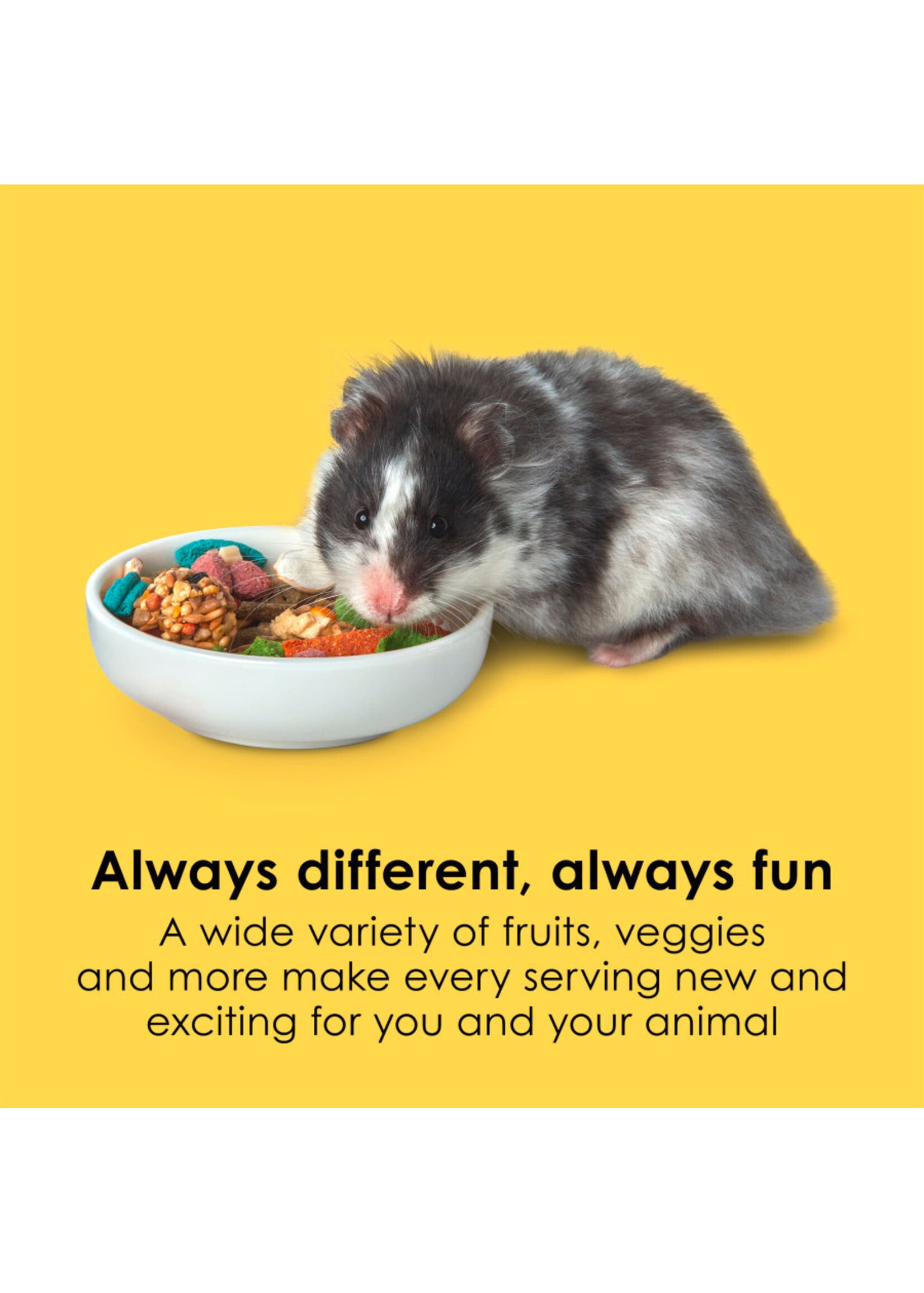 FIESTA HAMSTER GERBIL 4.5 LB