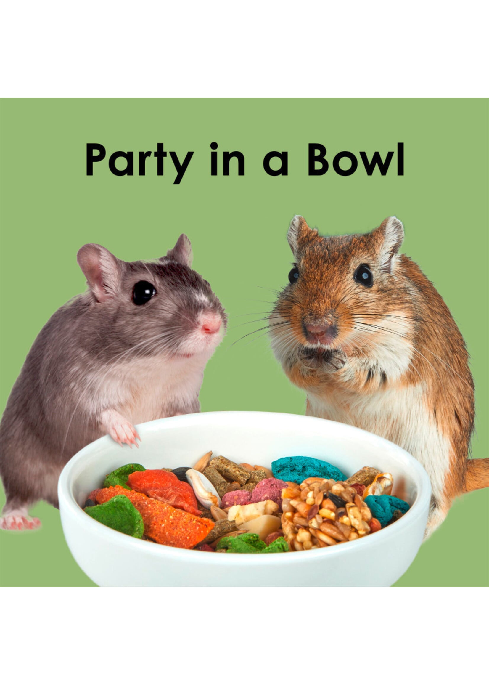 FIESTA HAMSTER GERBIL 4.5 LB
