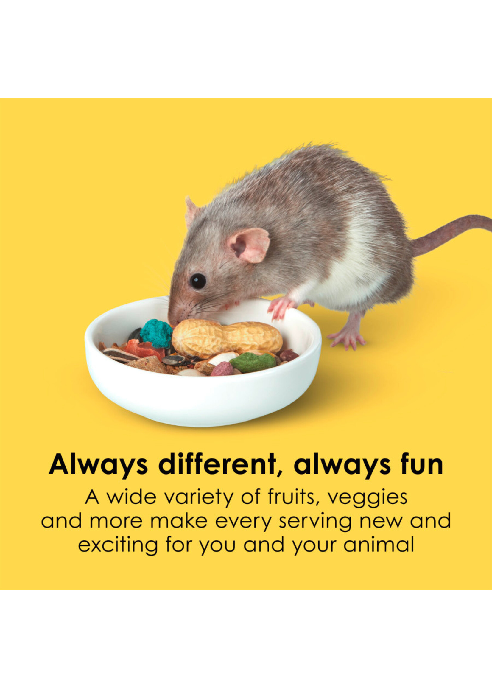 FIESTA MOUSE & RAT 4.5 LB