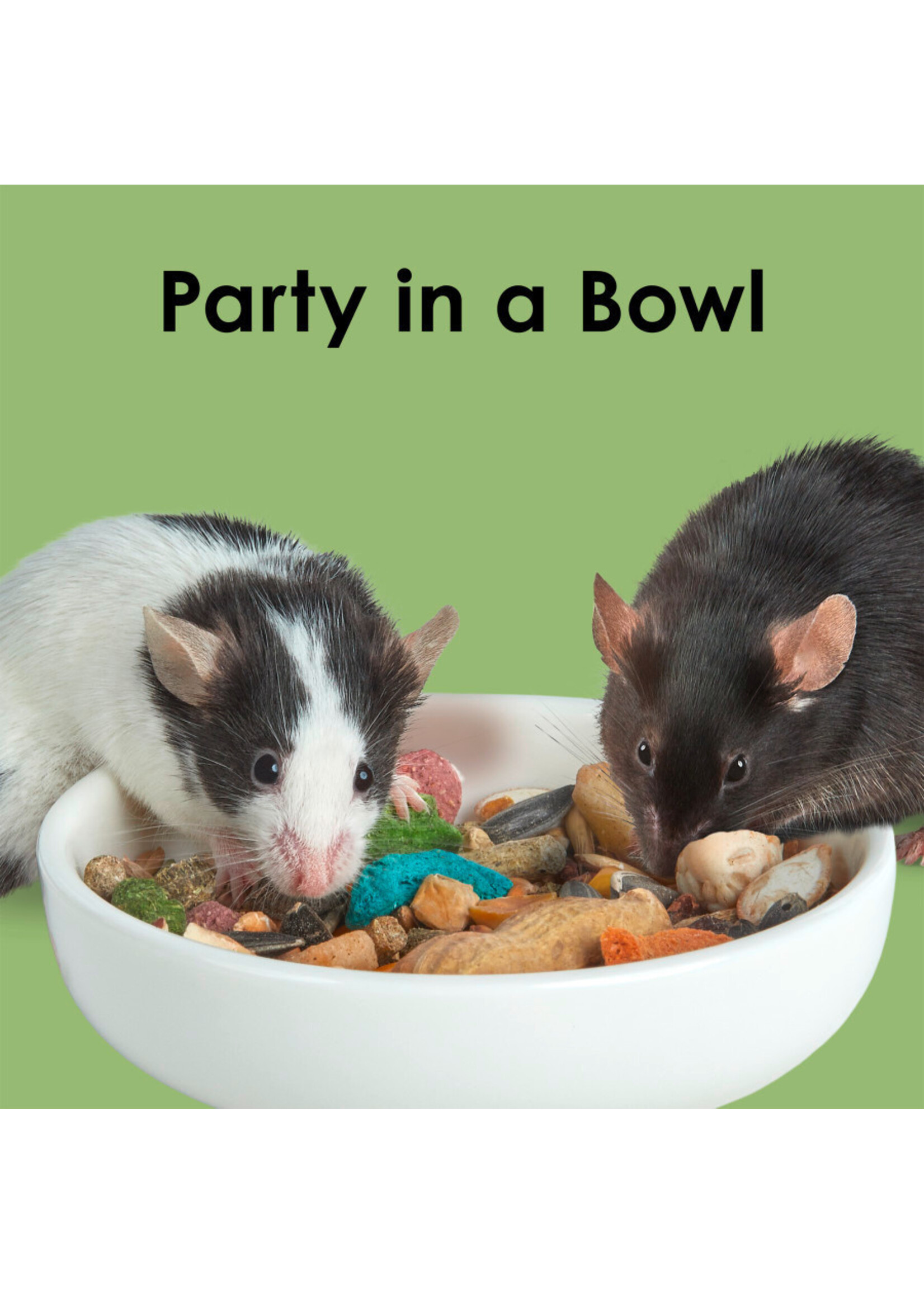 FIESTA MOUSE & RAT 4.5 LB
