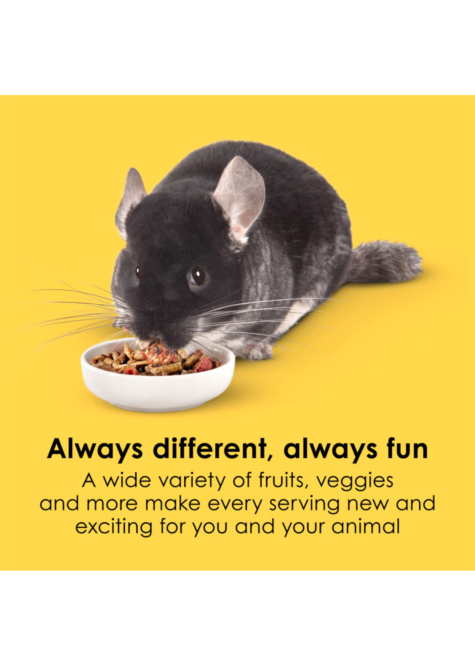 FIESTA CHINCHILLA 2.5 LB