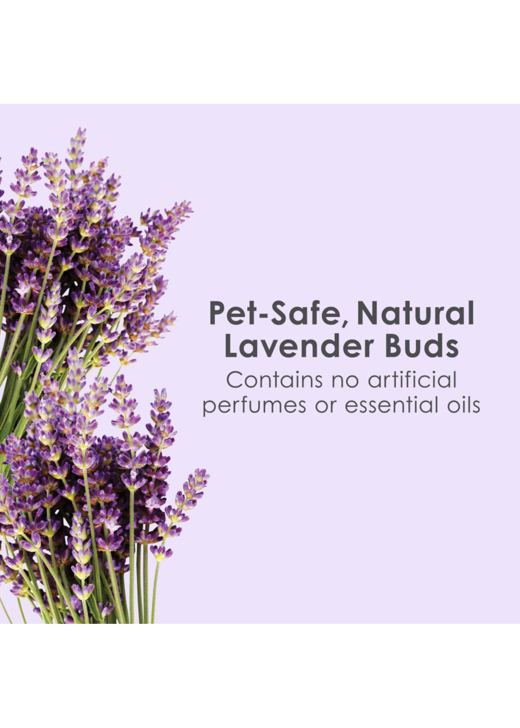 BEEDING CLEAN COZY LAVENDER 24.6 L
