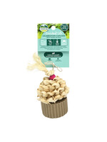 CELEBRATION CUPCAKE TREAT