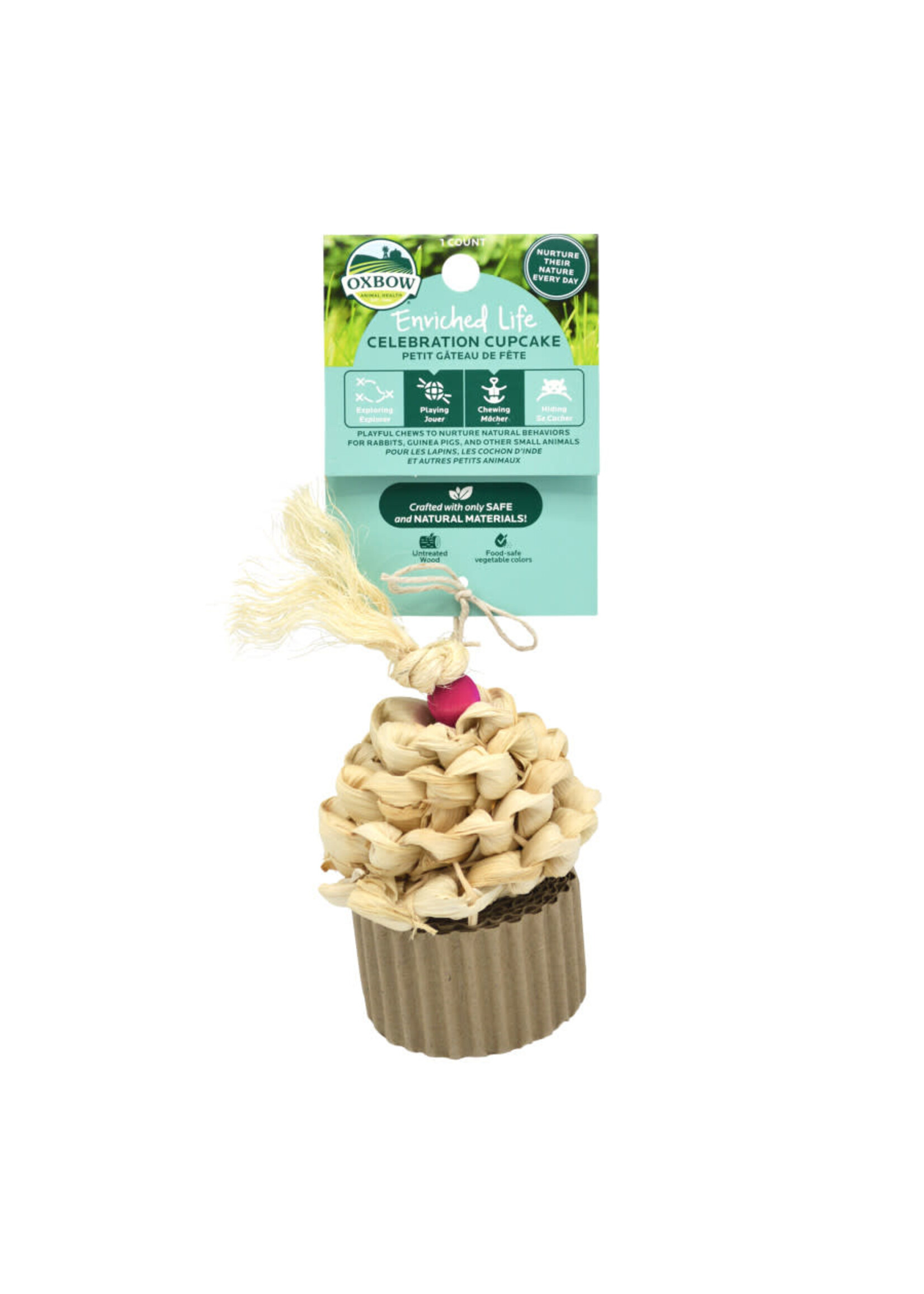 CELEBRATION CUPCAKE TREAT