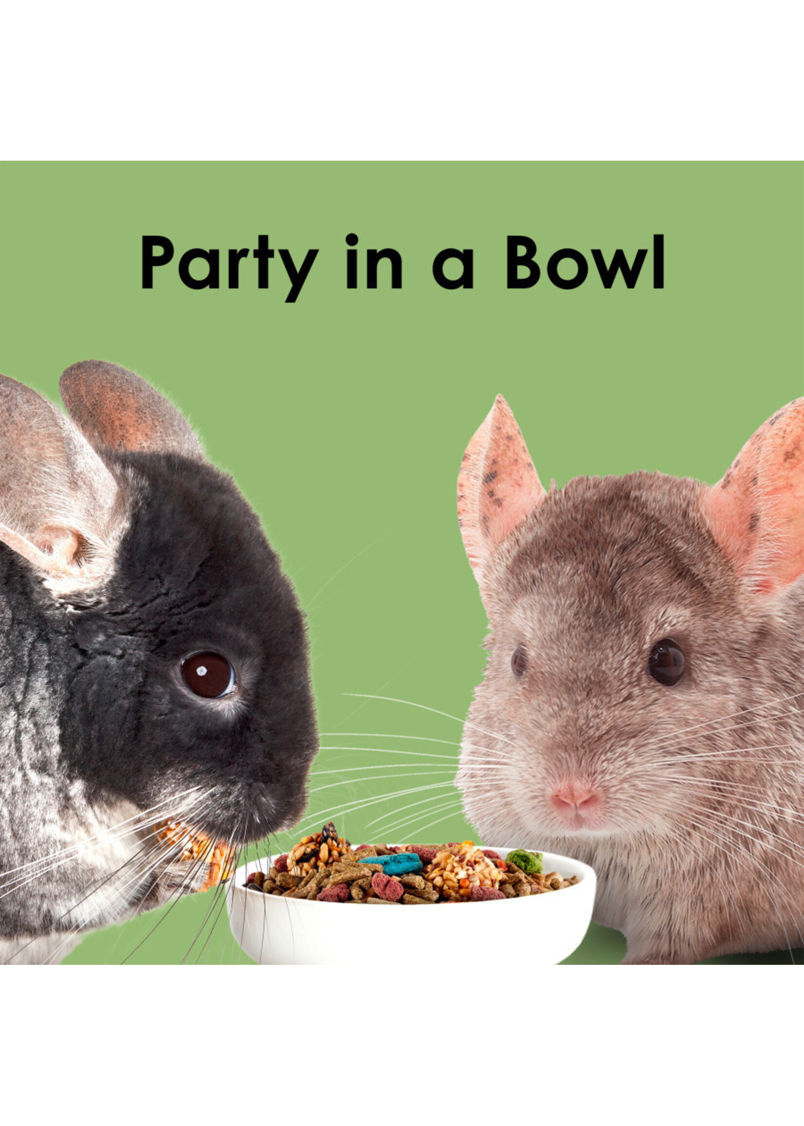 FIESTA CHINCHILLA 2.5 LB