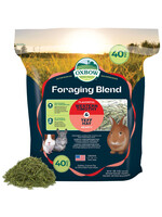 FORAGING HAY BLEND 40 OZ