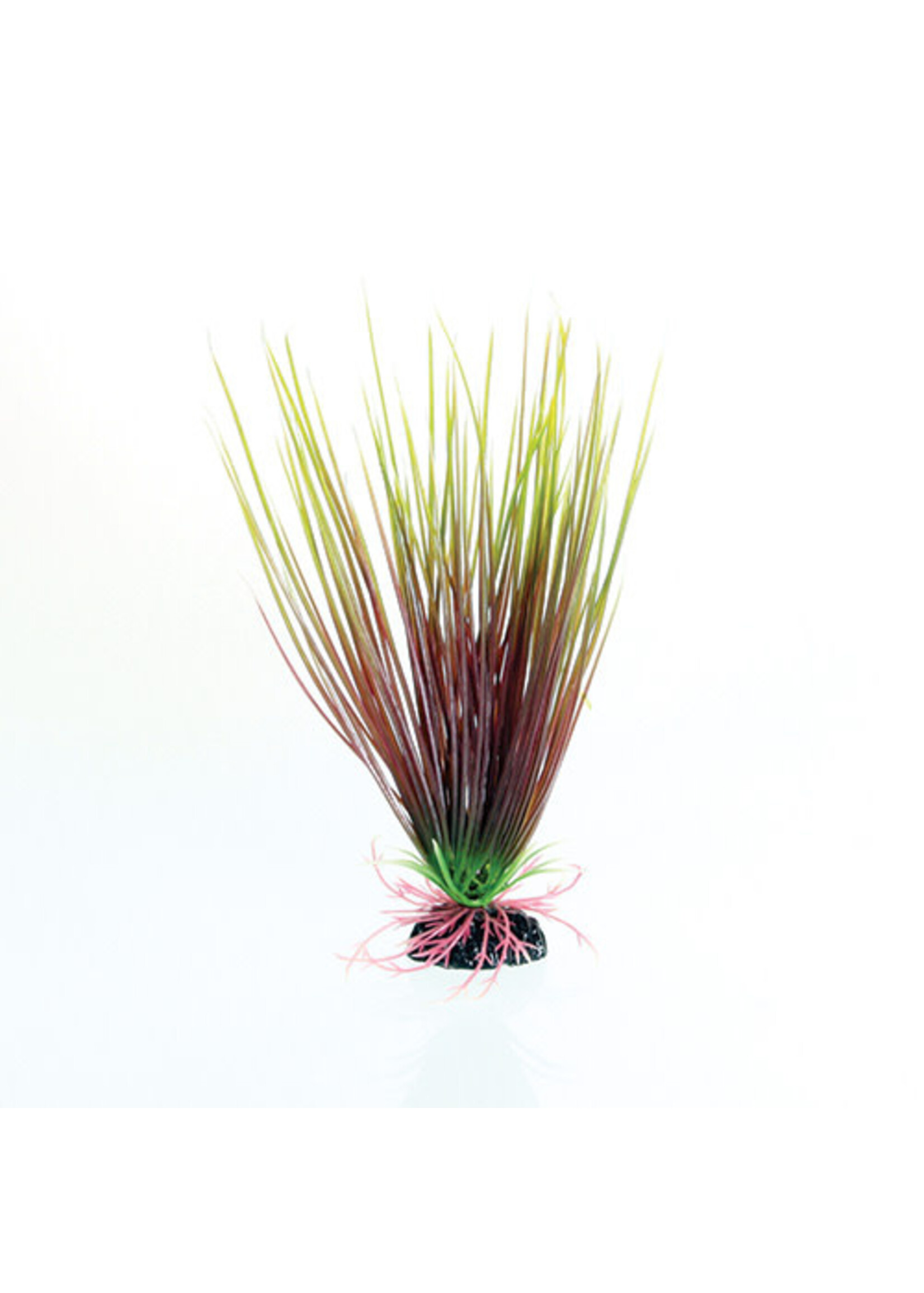 Underwater Treasures RED/GREEN HAIRGRASS 8IN