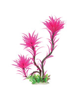 Underwater Treasures PARADISE FUCHSIA FERN PINK