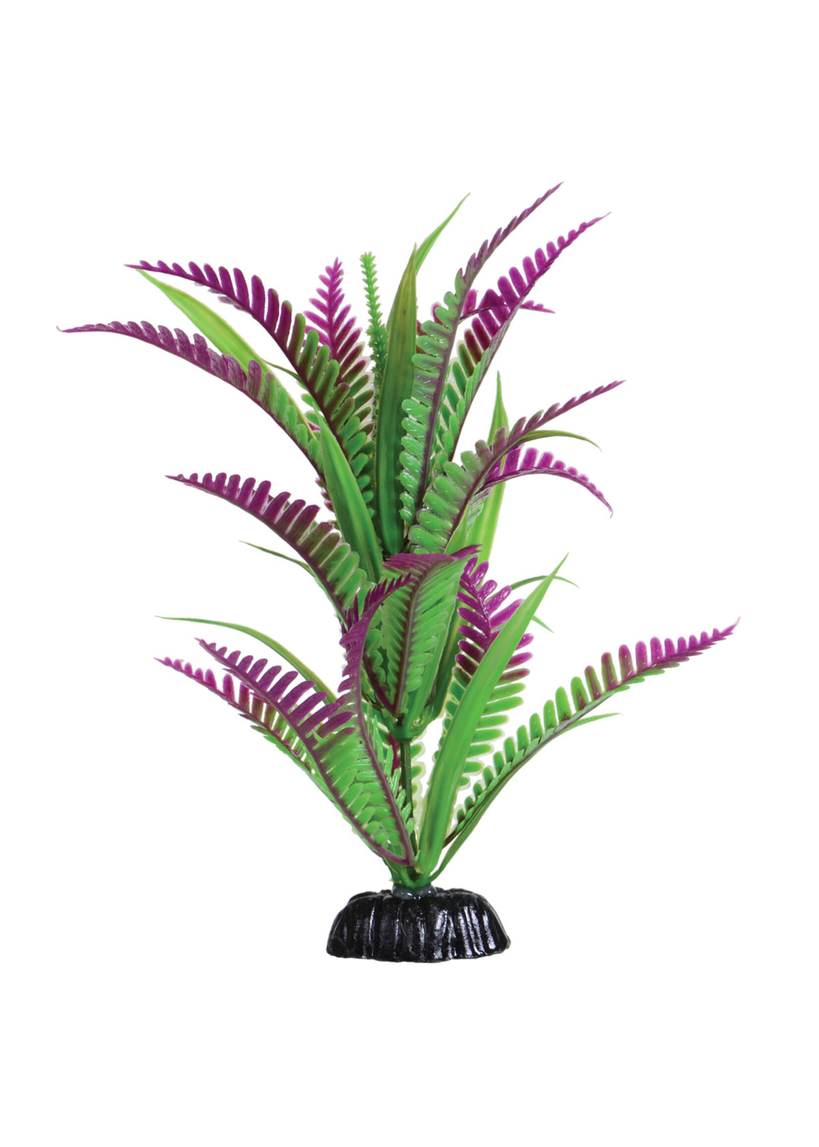 Underwater Treasures LONELY HEART FERN 8IN