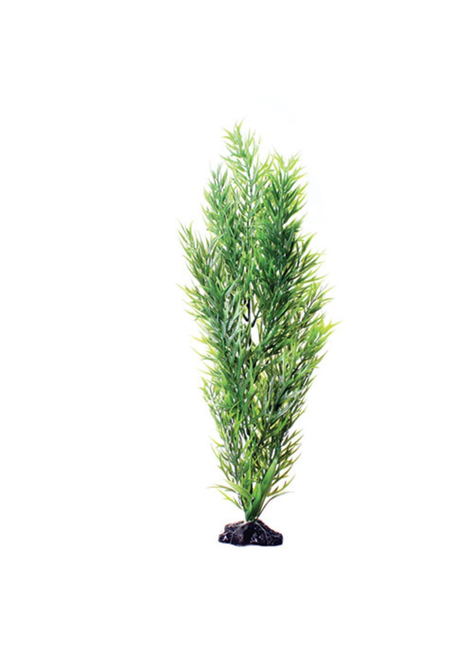 Underwater Treasures GREEN BAMBOO 20IN