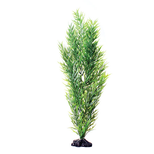 GREEN BAMBOO 20IN