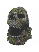 Hikari MOSSY SKULL 4 INCH